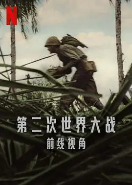 《世界第二次大战：前线经历》：直击战争残酷，还原士兵真实体验的震撼之作！