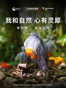 《我和自然 心有灵犀》第四季：共生之地，探寻生命与自然的永恒联结，一部触及灵魂的纪录片